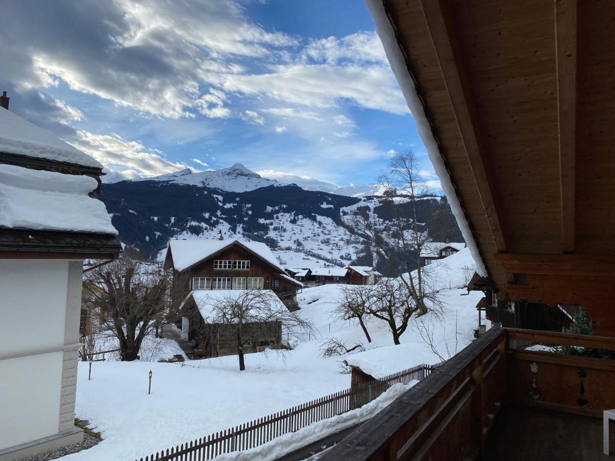 Chalet Elizabeth Apartment Grindelwald Ngoại thất bức ảnh